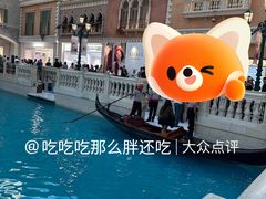 -澳门威尼斯人综合度假区
