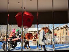-山河屯铁锅炖鲜鹅·东北菜(开发区一店)
