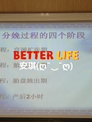 -北京安琪