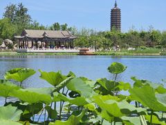 -西海子公园