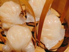 -金鼎轩(方庄天坛店)