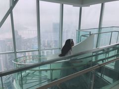 -WFC会仙楼观景台