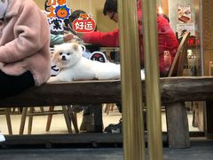 -小豆海棠(人民南路店)