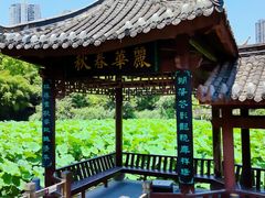 -龙头寺公园