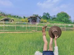 -大塘金香草谷