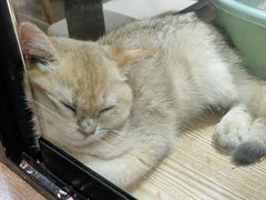 -中粮万科长阳半岛