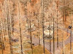 -黄海国家森林公园