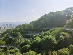 -福道
