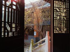 -灵谷景区