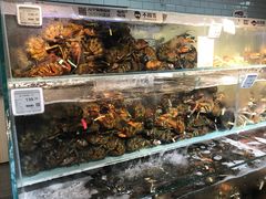 -超级物种(省府店)