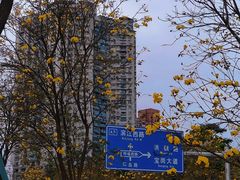 -洲头咀公园