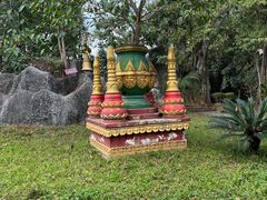 -瑞丽独树成林风景区