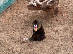 -济南野生动物世界