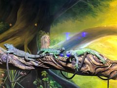 -华夏文旅西安度假区