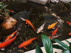 -广州白天鹅宾馆