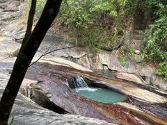 -广州白江湖森林公园