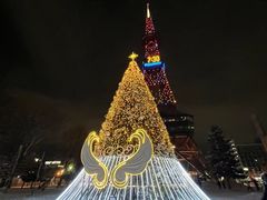 -大通公园