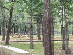 -秦皇岛野生动物园