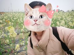 -白鹭湾湿地公园