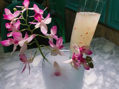 四时锦年雪耳饮-雀蓝川菜(奥体广场店)