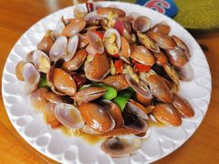 辣炒芒果螺-蓝湾碧波·老字号·疍家非遗海上餐厅