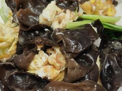 黑木耳炒蛋-新疆伊宁远征餐厅