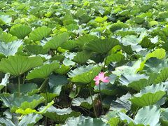 -朱家尖蜈蚣峙码头