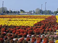 -中国天府农业博览园