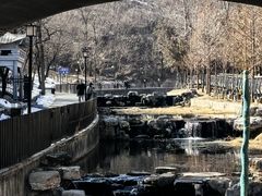 -白水寺森林公园