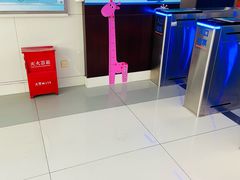 -上海大学生体育中心游泳馆(松江店)