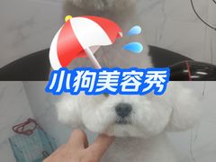-瑞鹏宠物医院·超声·骨科·奇麟分院(蜀都万达店)