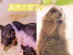 -正佳极地海洋世界