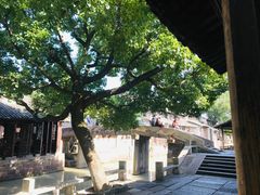 -乌镇东栅景区