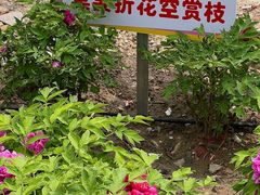-太阳宫公园