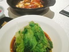 白灼生菜-维园悦谱·海派家常菜(乌鲁木齐南路店)
