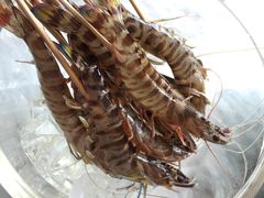 -虾佬圣汤