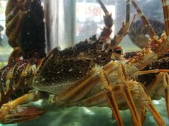 -福润海鲜馆