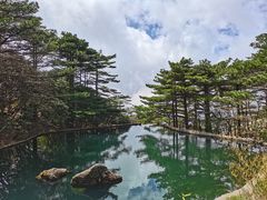 -黄山风景区