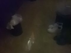 -金色印象·4k影院式足体养生(大渡口店)