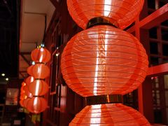 -芦月轩羊蝎子(太平桥店)