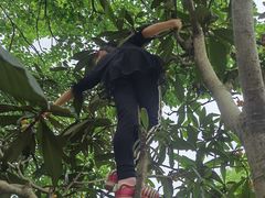 -塘栖枇杷特色园区