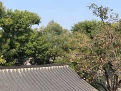 -糖房咖啡(南锣鼓巷店)