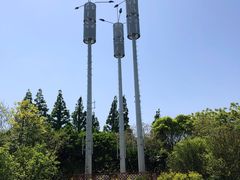 -上海吴淞炮台湾国家湿地公园