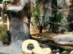 -上海动物园(地铁站)