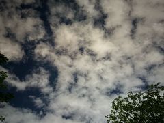 -唐城墙遗址公园