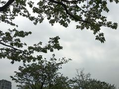 -重庆中央公园(渝北区)