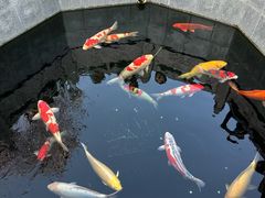 -西安市广仁寺