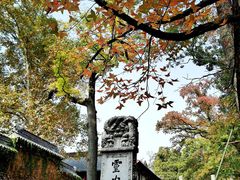 -灵谷景区