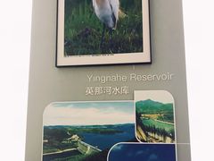 -大连市规划展示中心
