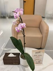 -Yestar 嘉兴艺星医疗美容医院